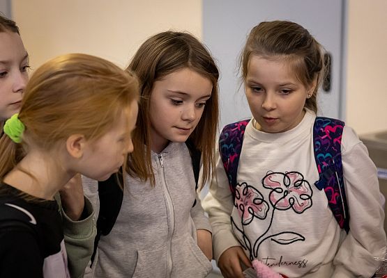 uczestnicy kiermaszu