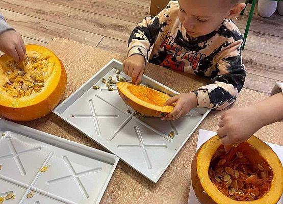 przedszkolak uczestniczący w zajęciach