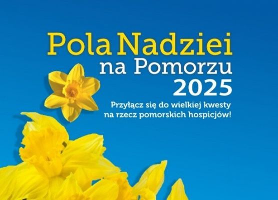 plakat z żonkilami
