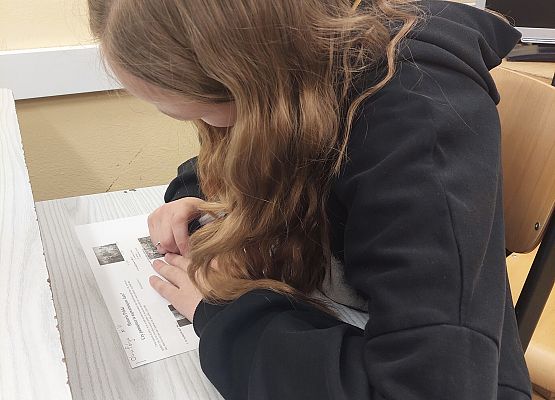 uczennica wykonuje zadanie