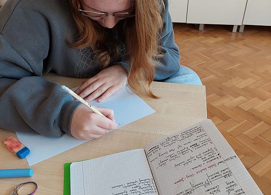 uczennica wykonuje zadanie