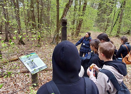 uczniowie podczas zajęć w lesie