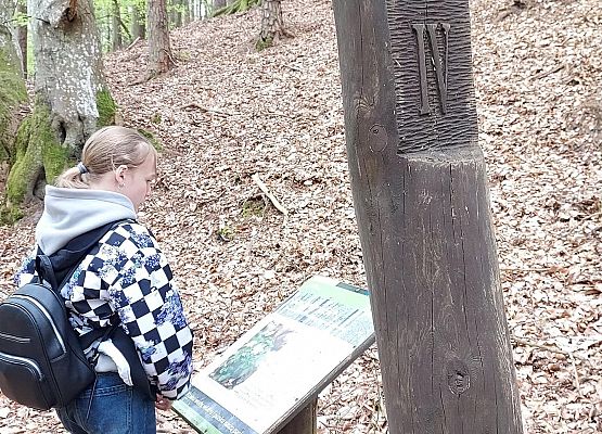 uczennica odczytuje informacje na tablicy