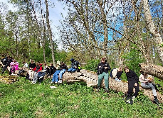 uczniowie podczas zajęć w lesie
