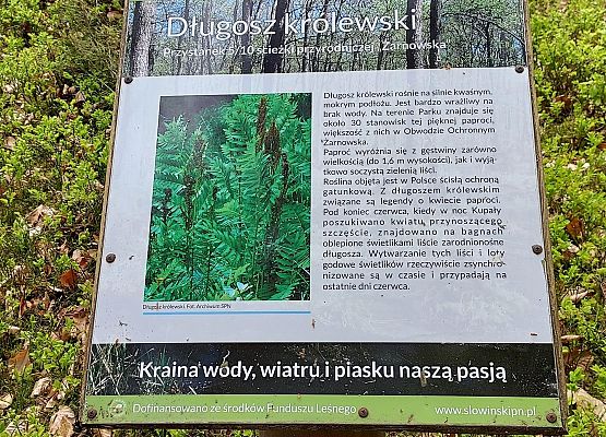 tablica informacyjna