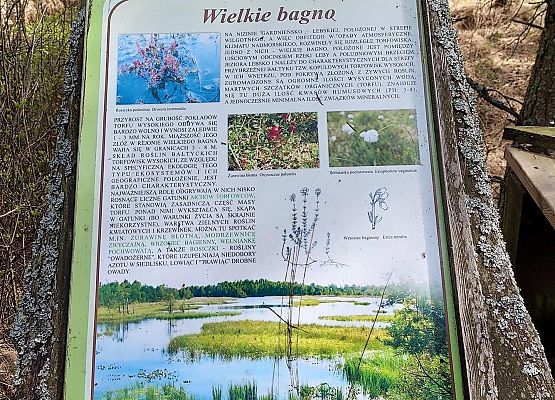 tablica informacyjna