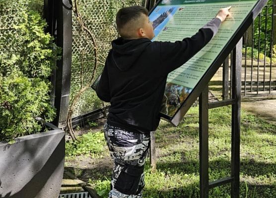 uczeń przy tablicy informacyjnej