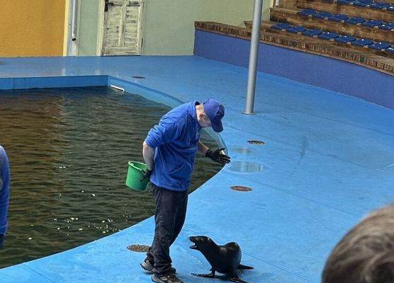 mężczyzna karmi fokę