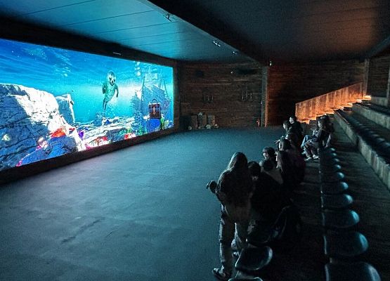 uczniowie oglądają film