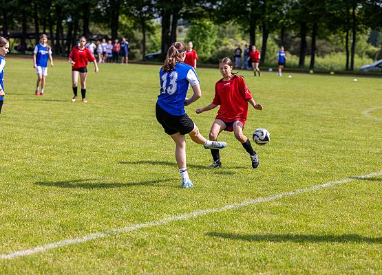 uczestnicy rozgrywek