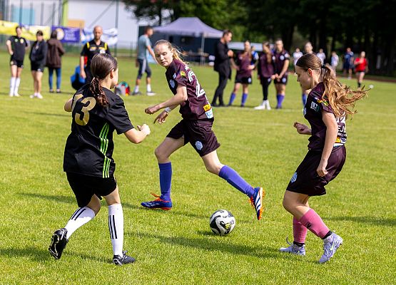 uczestnicy rozgrywek