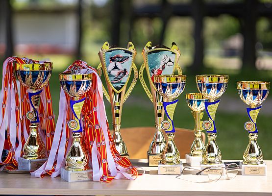 uczestnicy rozgrywek