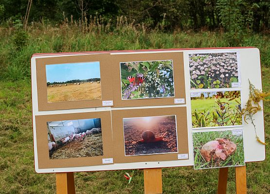 prace konkursowe uczniów