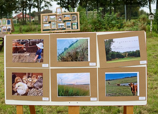 prace uczestników konkursu