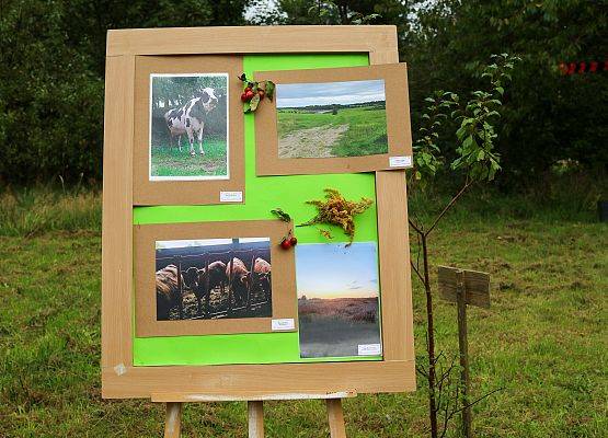 prace uczestników konkursu