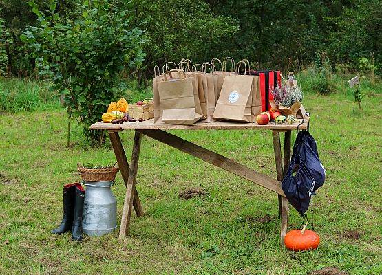 nagrody za udział w konkursie