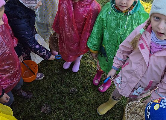 dzieci podczas grzybobrania