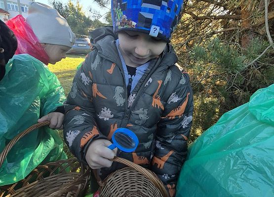 dzieci podczas grzybobrania