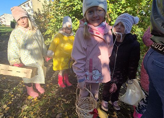 dzieci podczas grzybobrania