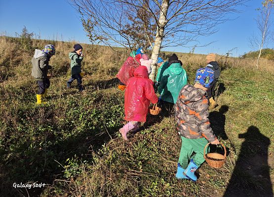 dzieci podczas grzybobrania