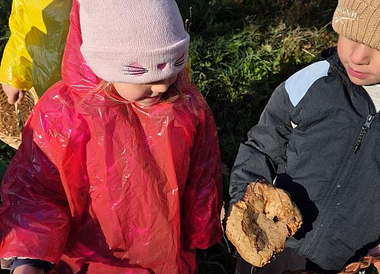 dzieci podczas grzybobrania