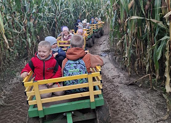 przedszkolaki na wycieczce