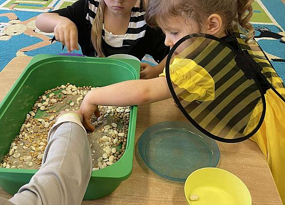 dzieci w kolorowych strojach segregują ziarna