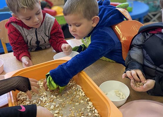 dzieci segregują ziarna