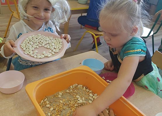 dzieci segregują ziarna