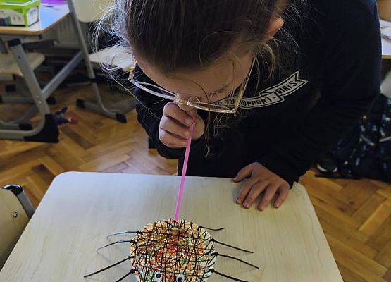 uczennica i wykonany przez nią pająk