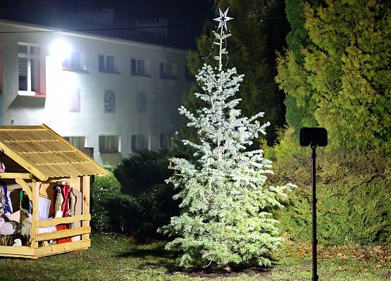 choinka i szopka bożonarodzeniowa