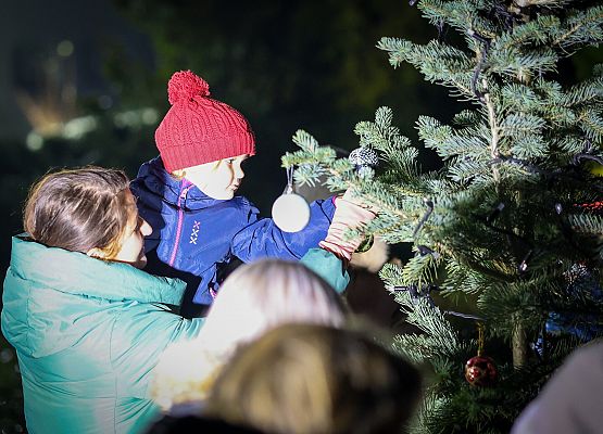 uczestnicy wydarzenia wspólnie ubierają choinkę