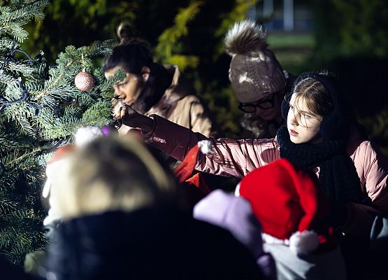 uczestnicy wydarzenia wspólnie ubierają choinkę