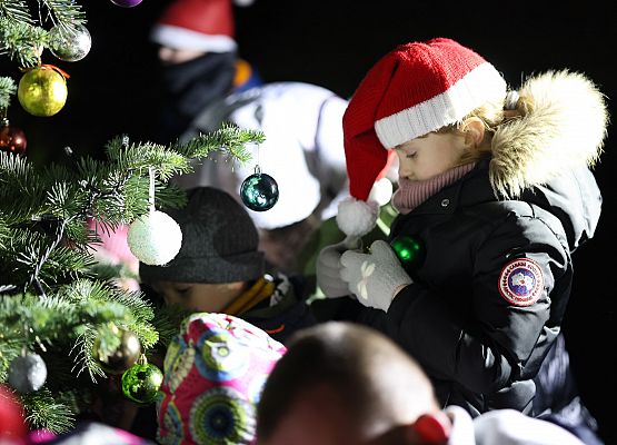 uczestnicy wydarzenia wspólnie ubierają choinkę