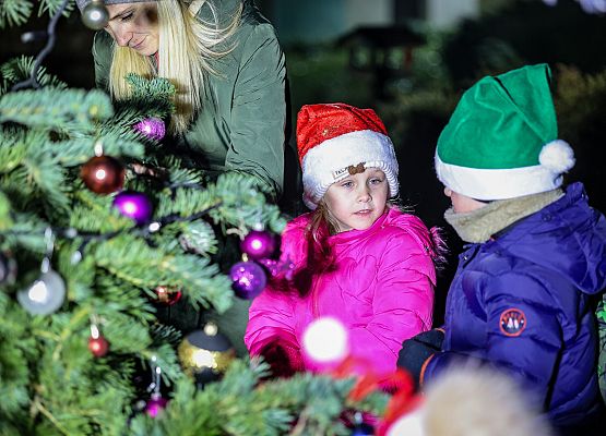 uczestnicy wydarzenia wspólnie ubierają choinkę