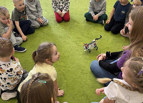 przedszkolaki podczas zajęć