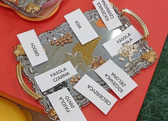 nasiona roślin strączkowych