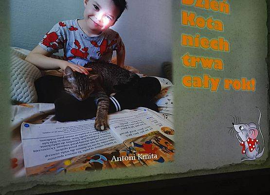 prezentacja zdjęć konkursowych