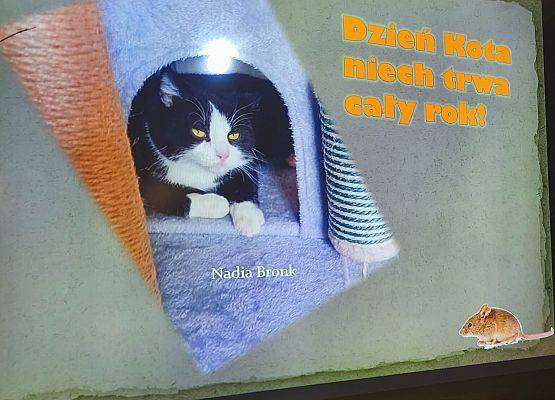 prezentacja zdjęć konkursowych