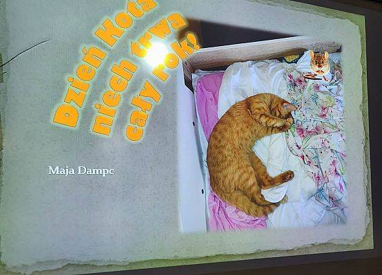 prezentacja zdjęć konkursowych