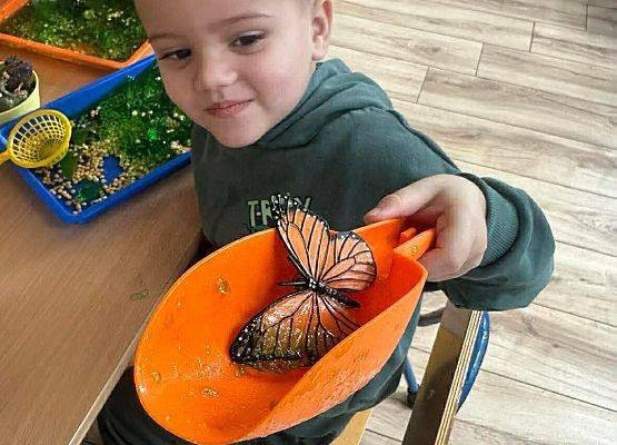 chłopiec prezentuje motylka