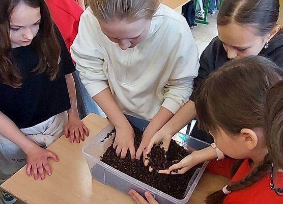 uczniowie wykonują zadania