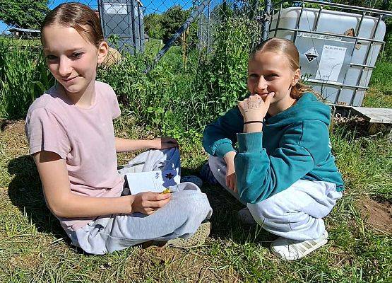 uczennice podczas zajęś w szkolnym sadzie