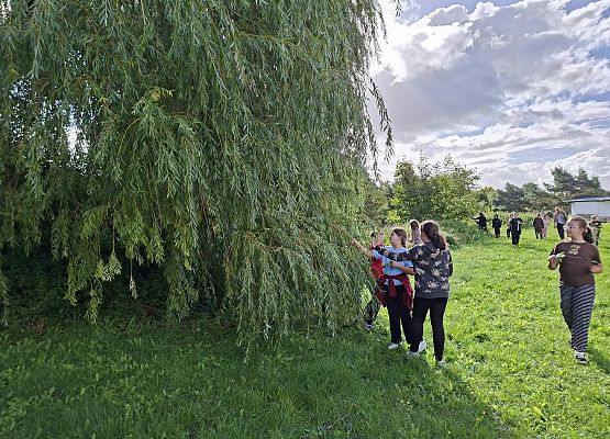 dzieci oglądają liście
