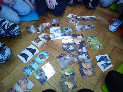 Grafika #13: Dzień Kota w Przedszkolu