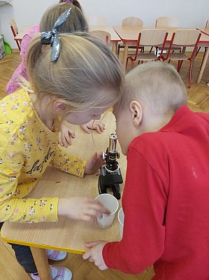 Grafika #5: Zajęcia rozwijające kompetencje kluczowe: matematyczne i przyrodniczo - chemiczne w kl. 0