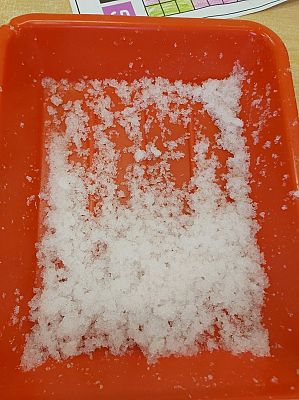 Grafika #4: Zajęcia rozwijające kompetencje kluczowe: matematyczne i przyrodniczo - chemiczne w kl. 0