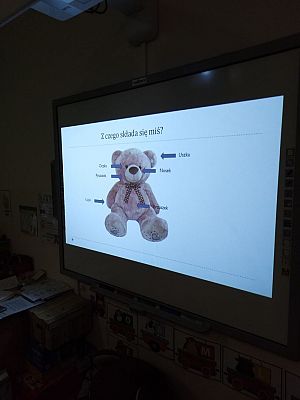 Grafika #39: "Dzień Pluszowego Misia" w Przedszkolu