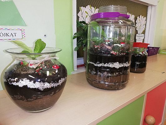 Grafika #13: SensoSmyki