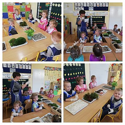 Grafika #10: SensoSmyki